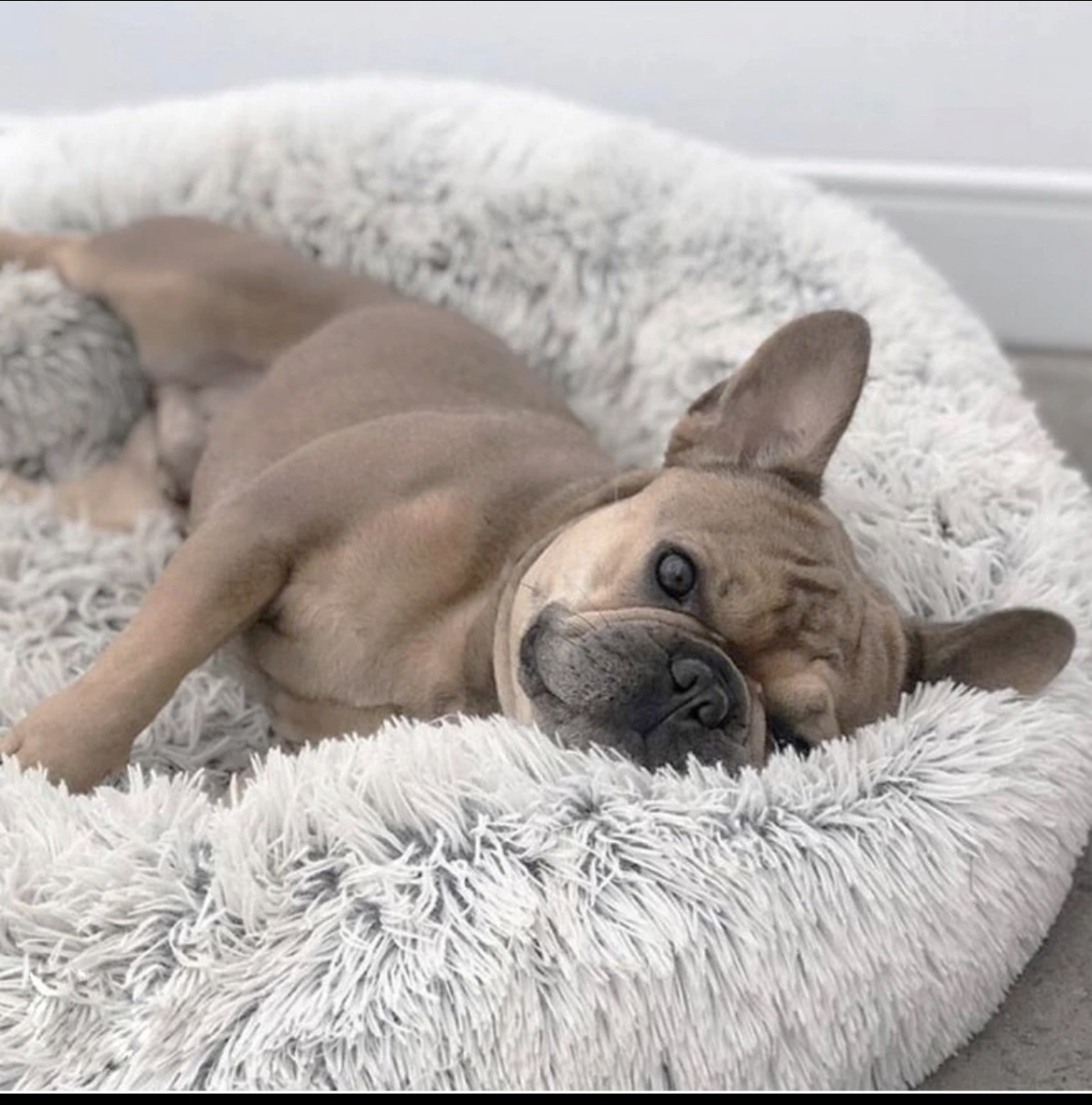 Лежак ватрушка Антистресс