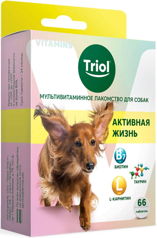 Мультивитаминное лакомство для собак "Активная жизнь", 33г