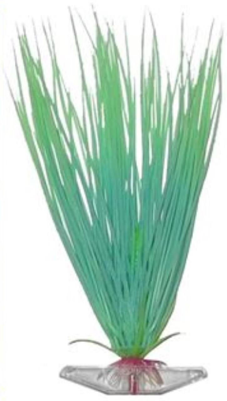 Растение HAIRGRASS 27см сине-зеленое светящееся