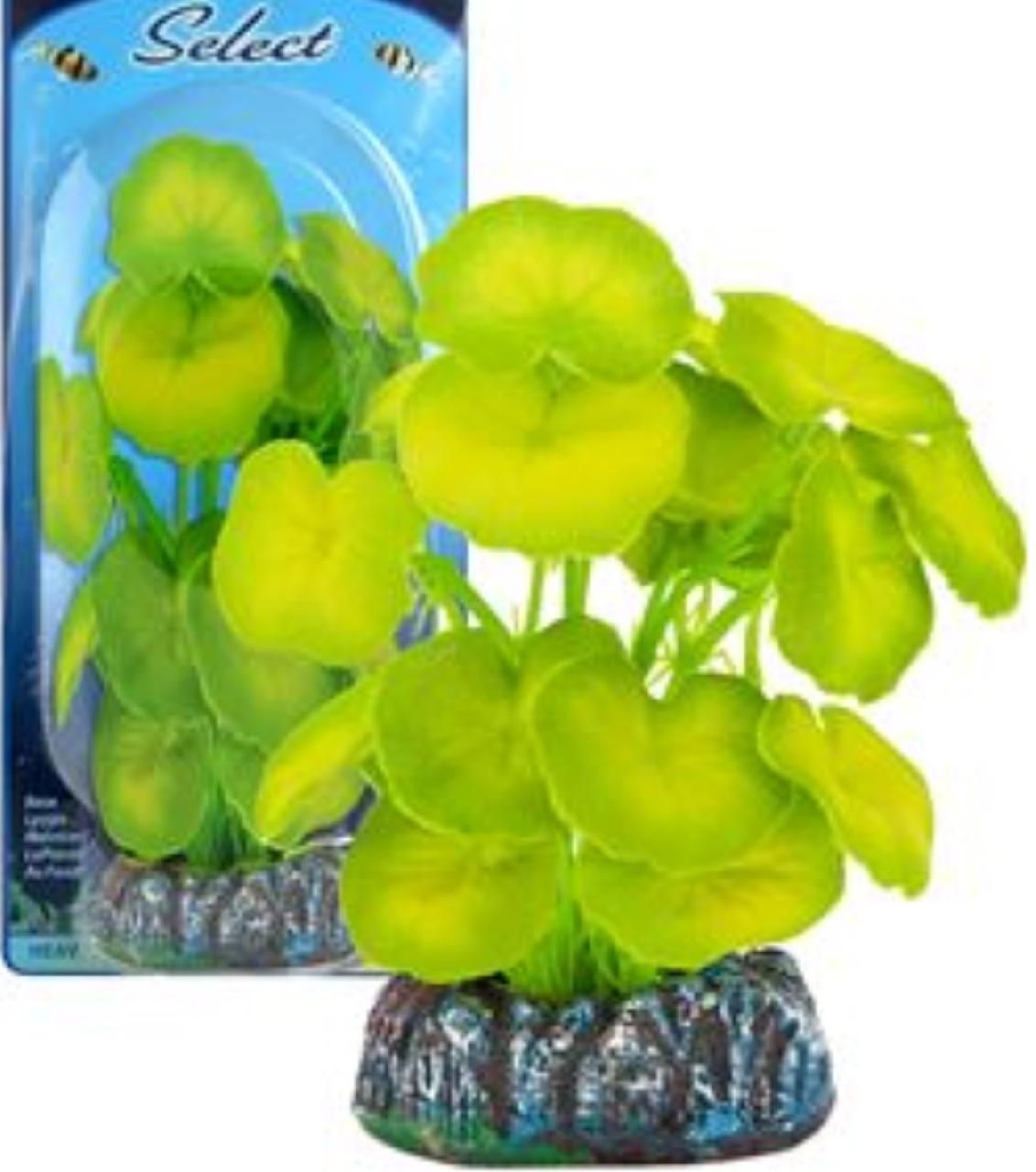 Растение CARDAMINE шелковое светло-зеленое 10см