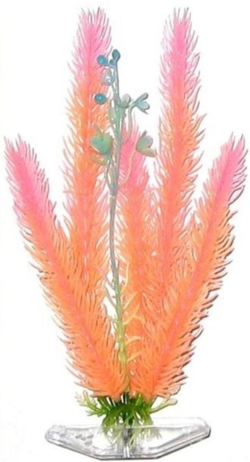 Растение CLUB MOSS оранжево-розовое светящееся 27см