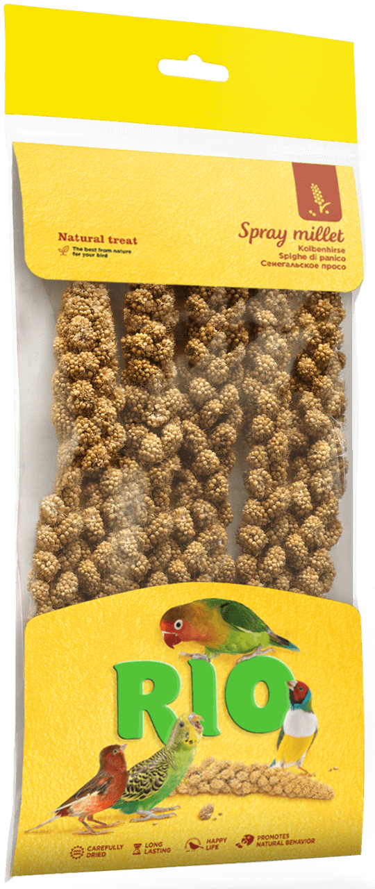 РИО Сенегальское просо в колосьях 100г