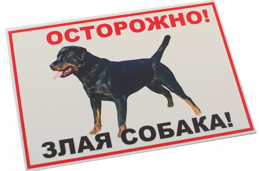 Табличка "Осторожно! Злая собака" (ротвейлер) формат А4