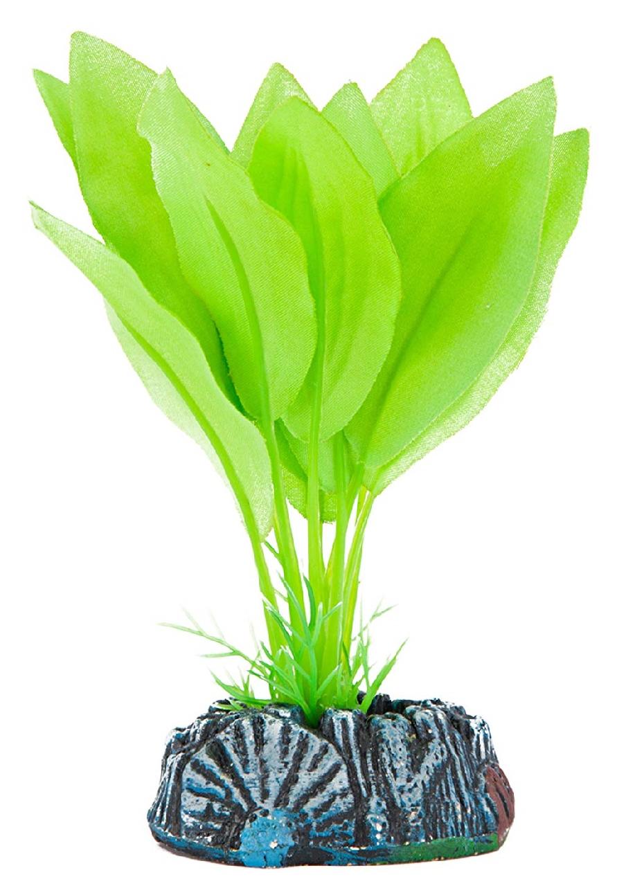 Растение AMAZON SWORD шелковое зеленое 12см