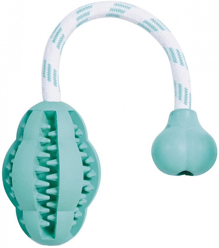 Игрушка Мяч Denta Fun c верёвкой, резина, 28см