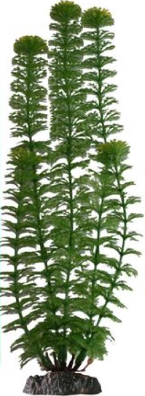 Растение AMBULIA с грузом зеленое 34см