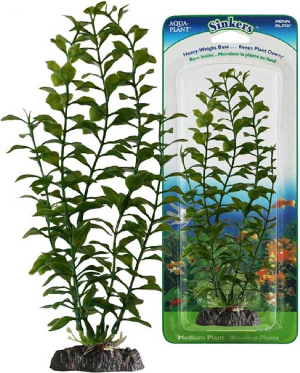 Растение BLOOMING LUDWIGIA с грузом зеленое 34см