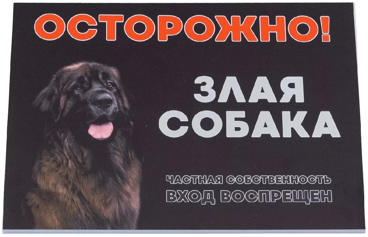 Табличка "Осторожно! Злая собака" формат А5 148*210мм